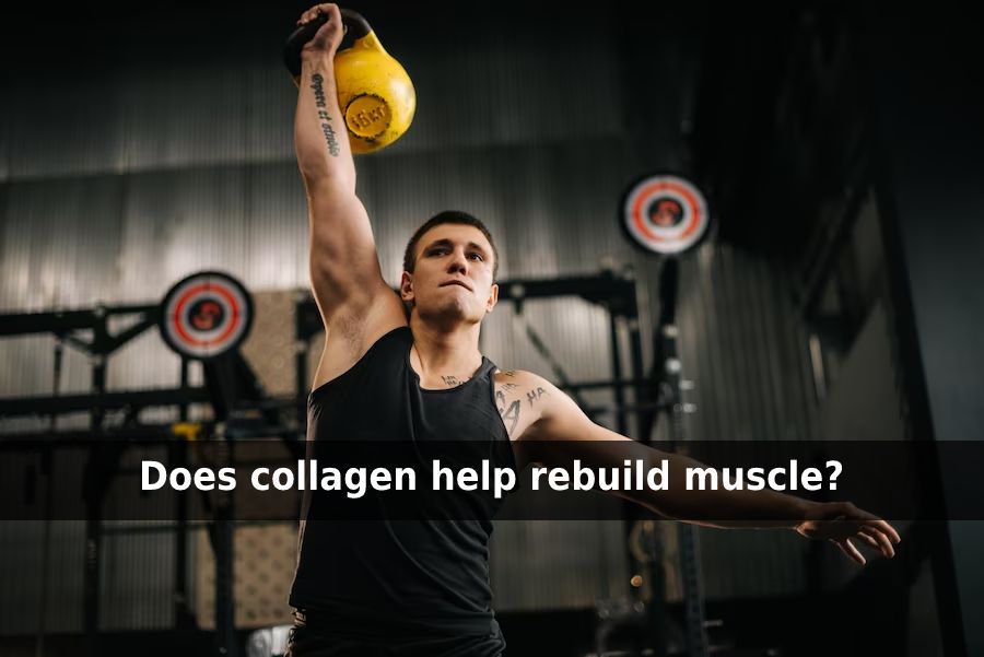 steroids and collagen